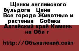 Щенки английского бульдога › Цена ­ 40 000 - Все города Животные и растения » Собаки   . Алтайский край,Камень-на-Оби г.